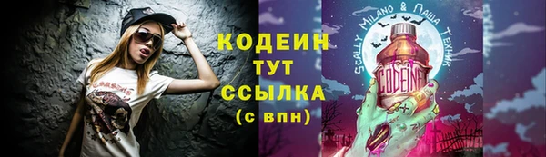 PSILOCYBIN Аркадак