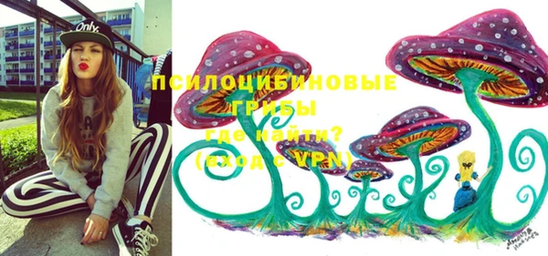 гидра Баксан