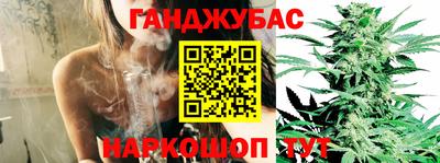 гашик Балашиха