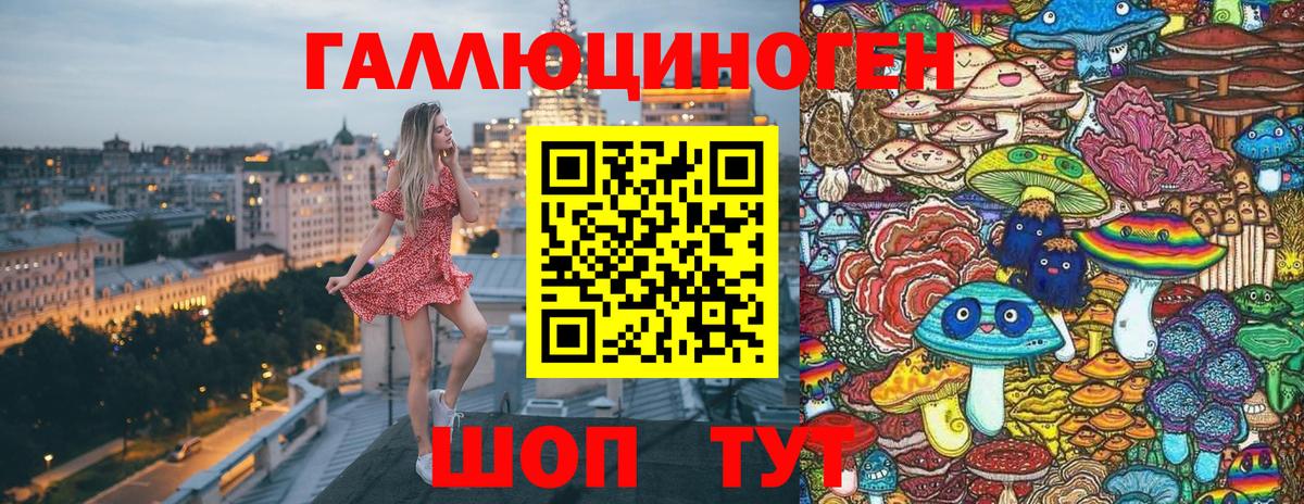 Псилоцибиновые грибы мицелий Долгопрудный